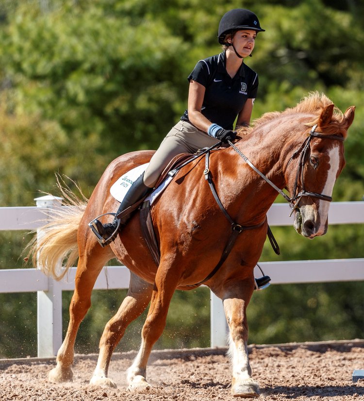 The Athletic Equestrian by Sally Batton with Christina Keim