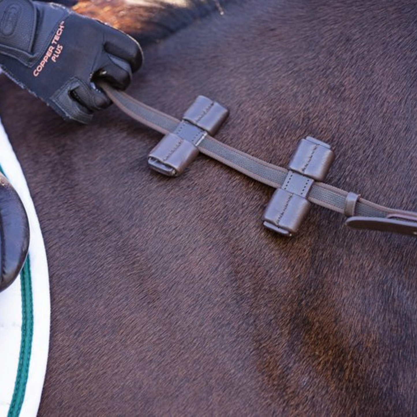 Correct Connect™ Aaron Vale rein with 3 Padded Hand Grips