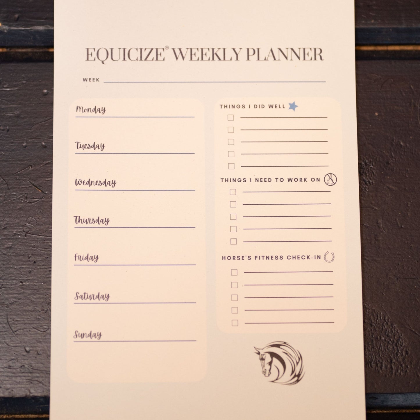 Equicize Weekly Logs