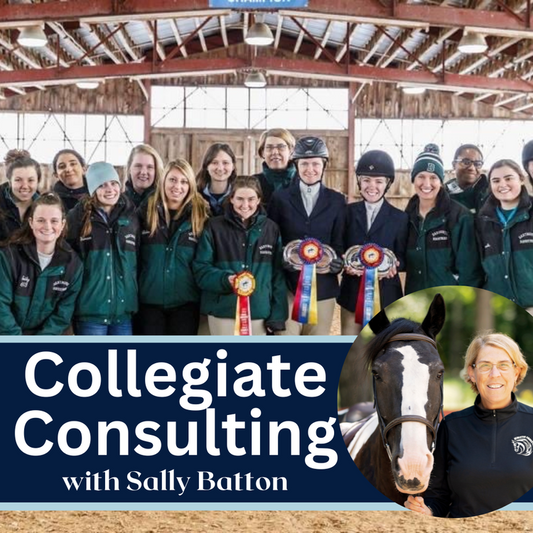 Equestrian Collegiate Consulting