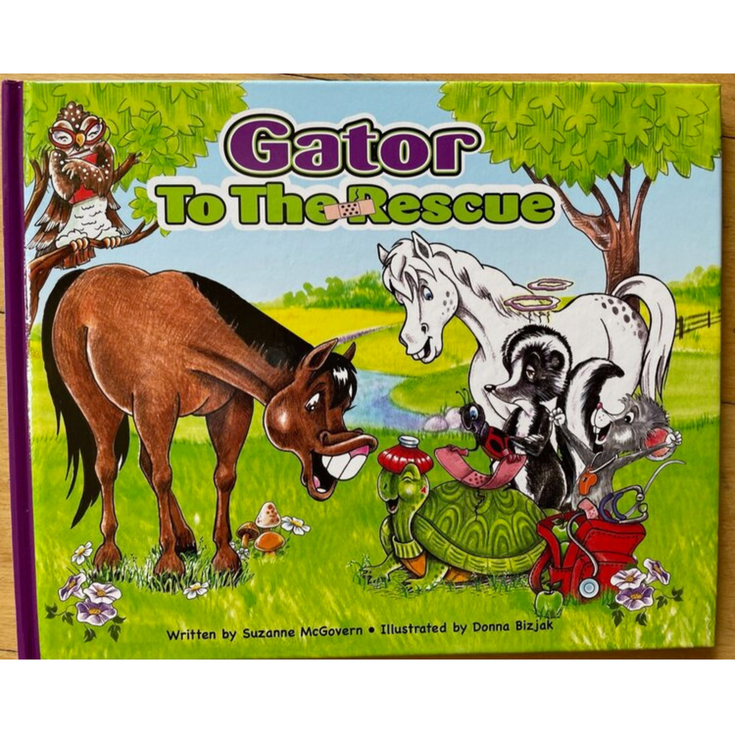 Gator The Horse Book Series