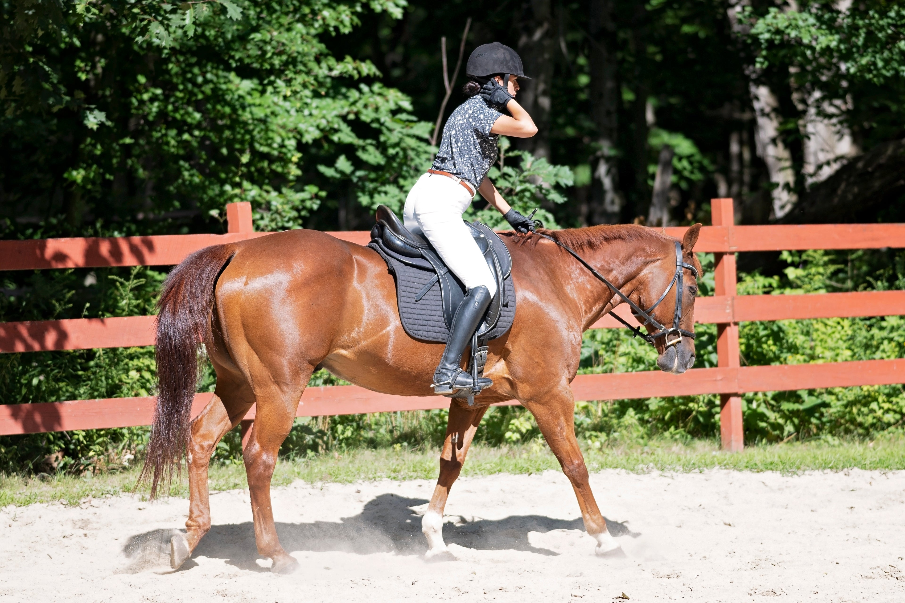 fitness for horseback riders
